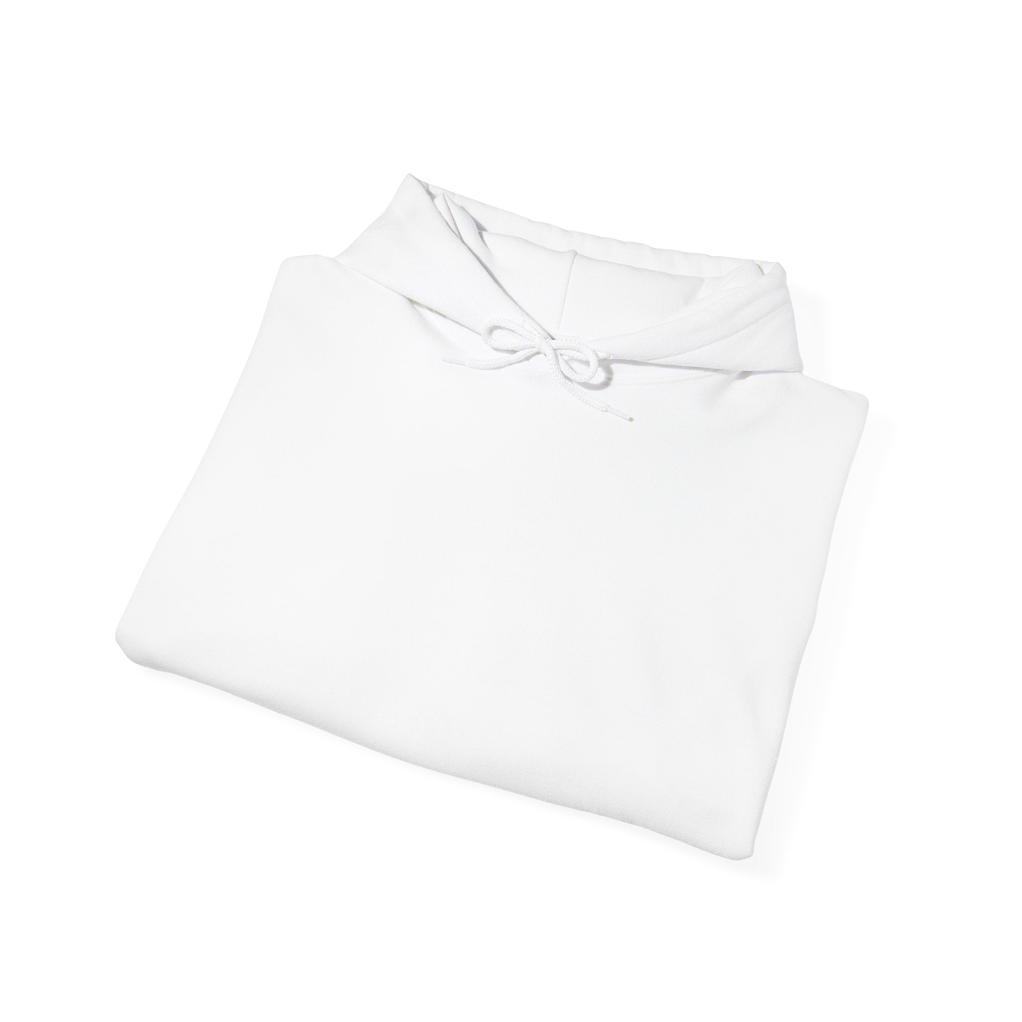 Viral Photo 2026 - Back Graphic Hoodie